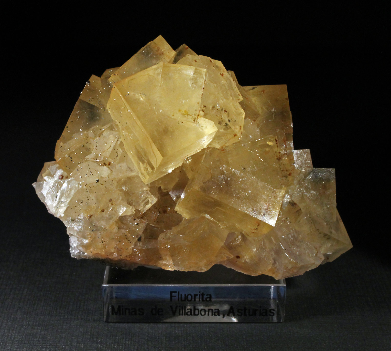 Fluorita
7 x 5 cm. (Cristal mayor: 2 cm).
(Autor: Darío Menéndez)