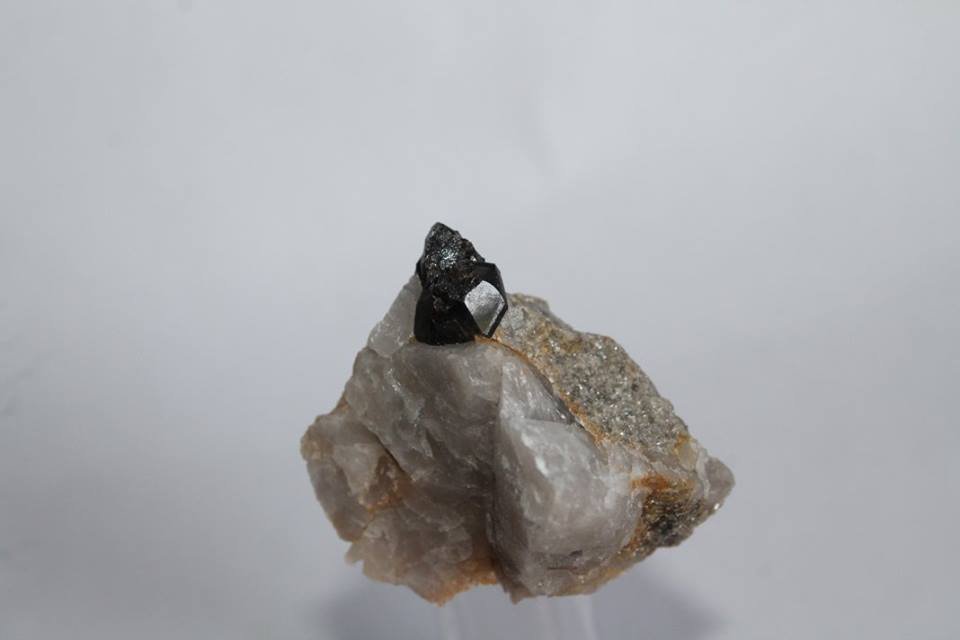 Casiterita.
1 cm. cristal de Casiterita.
(Autor: Rafael varela olveira)
