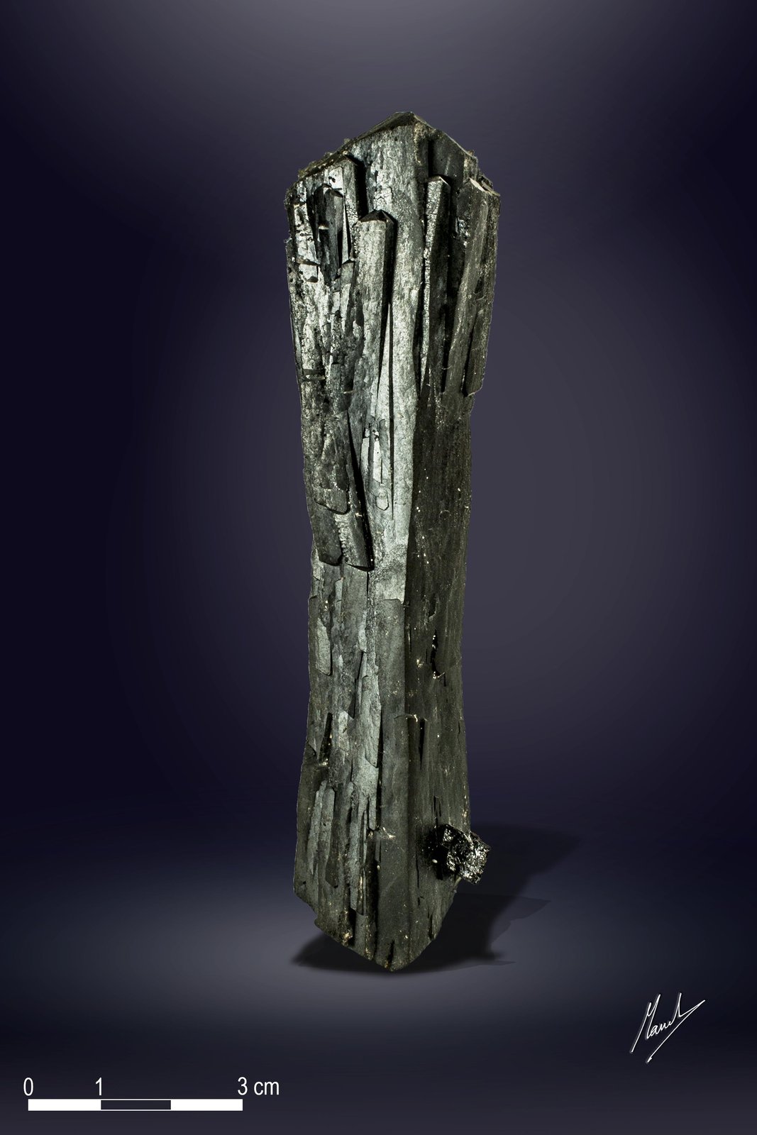 Ilvaita
117 X 27 mm
(Autor: Manuel Mesa)