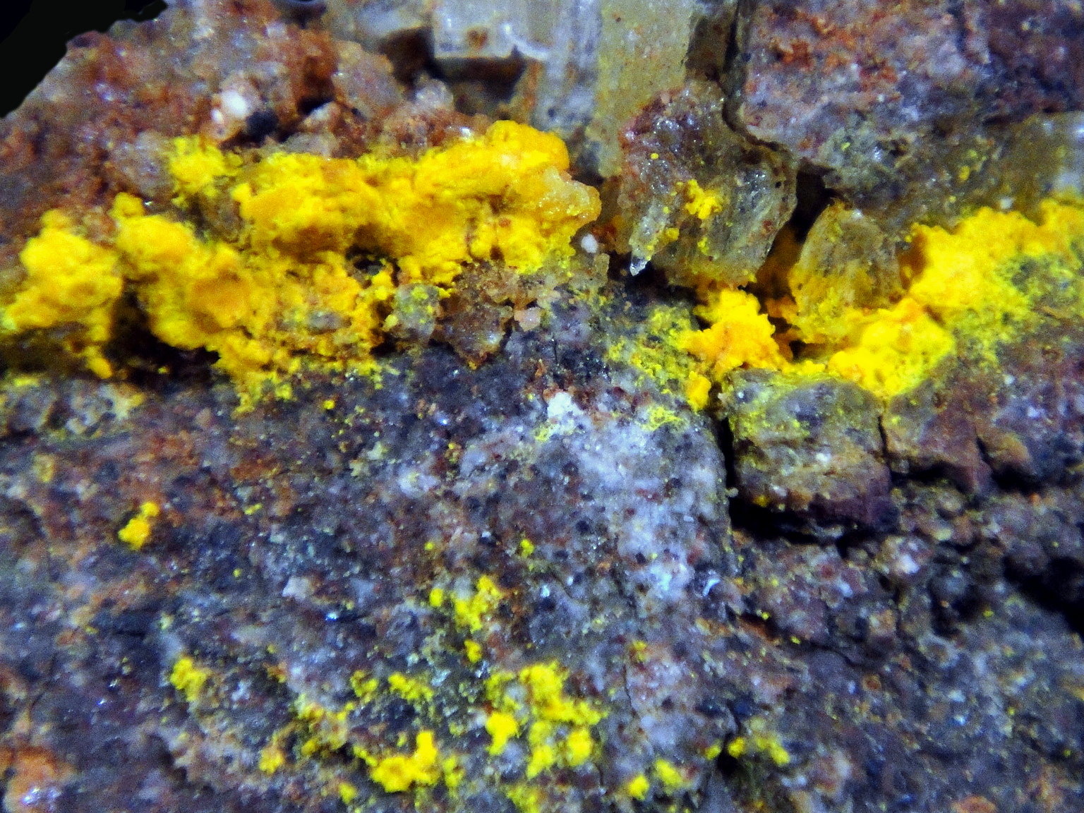 Cadwaladerita
Campo de visión 2 cm.
(Autor: Antonio P. López)