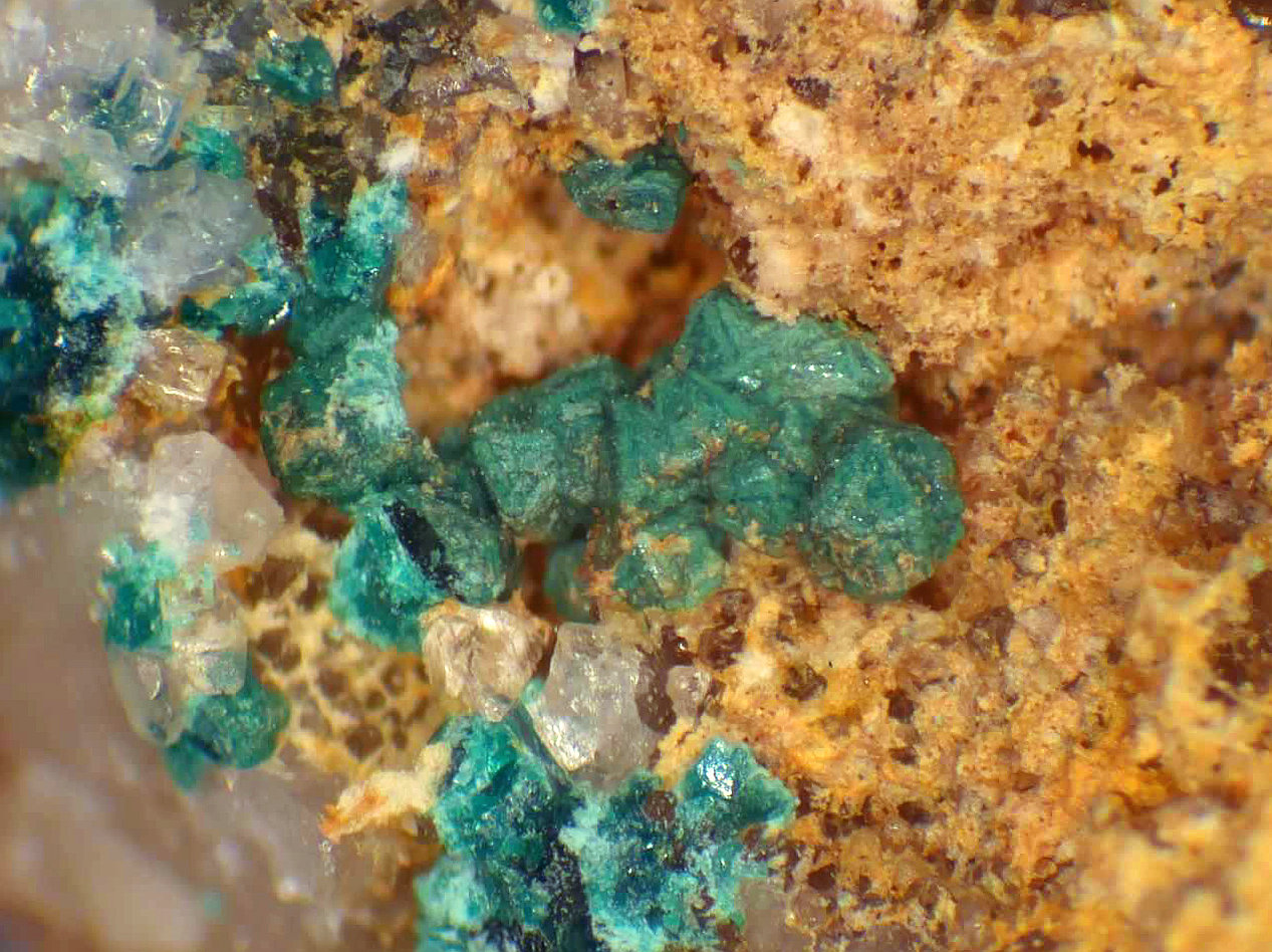 Herbertsmithita
Campo de visión 3 mm.
(Autor: Antonio P. López)