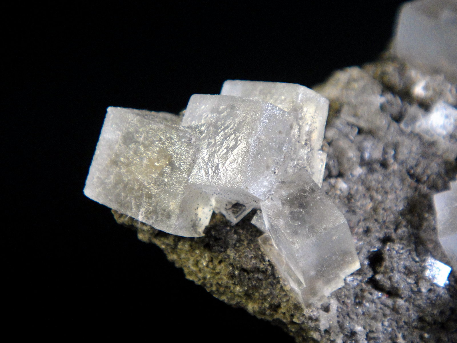 Halita
Cristal de 2 cm.
(Autor: Antonio P. López)