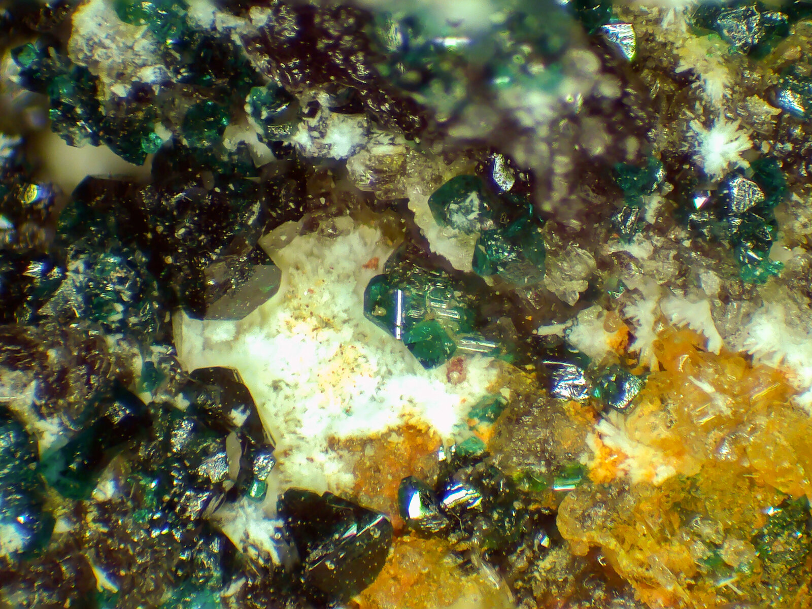 Herbertsmithita
Mina Los Tres Presidentes, zona minera Caracoles, Caracoles, Comuna Sierra Gorda, Provincia Antofagasta, Región Antofagasta, Chile
Campo de visión 3 mm.
(Autor: Antonio P. López)