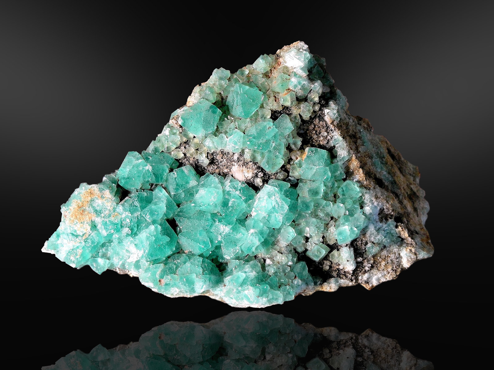Fluorita
11 x 7 cm.
(Autor: Antonio P. López)