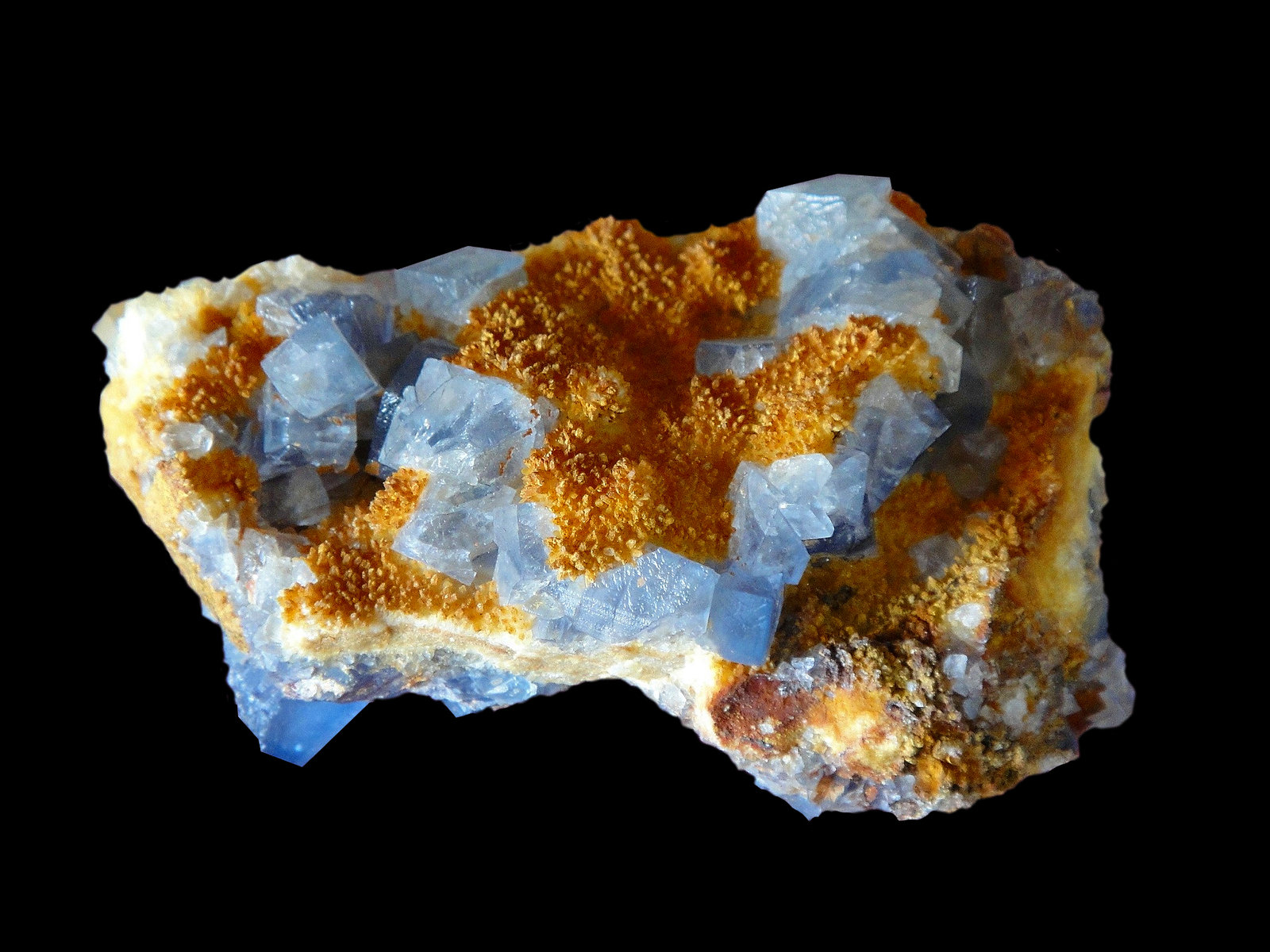 Fluorita
7 x 4 cm.
(Autor: Antonio P. López)