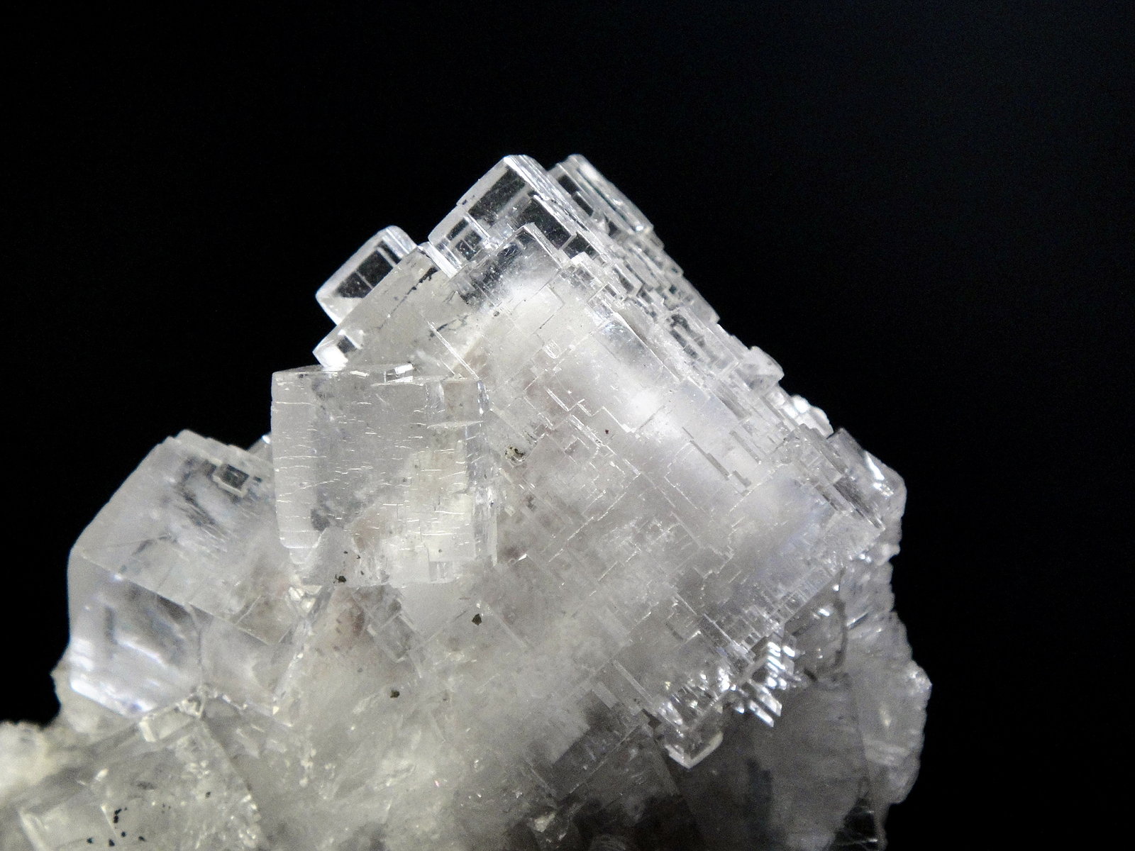 Fluorita
Cristal mayor de 3 cm.
(Autor: Antonio P. López)
