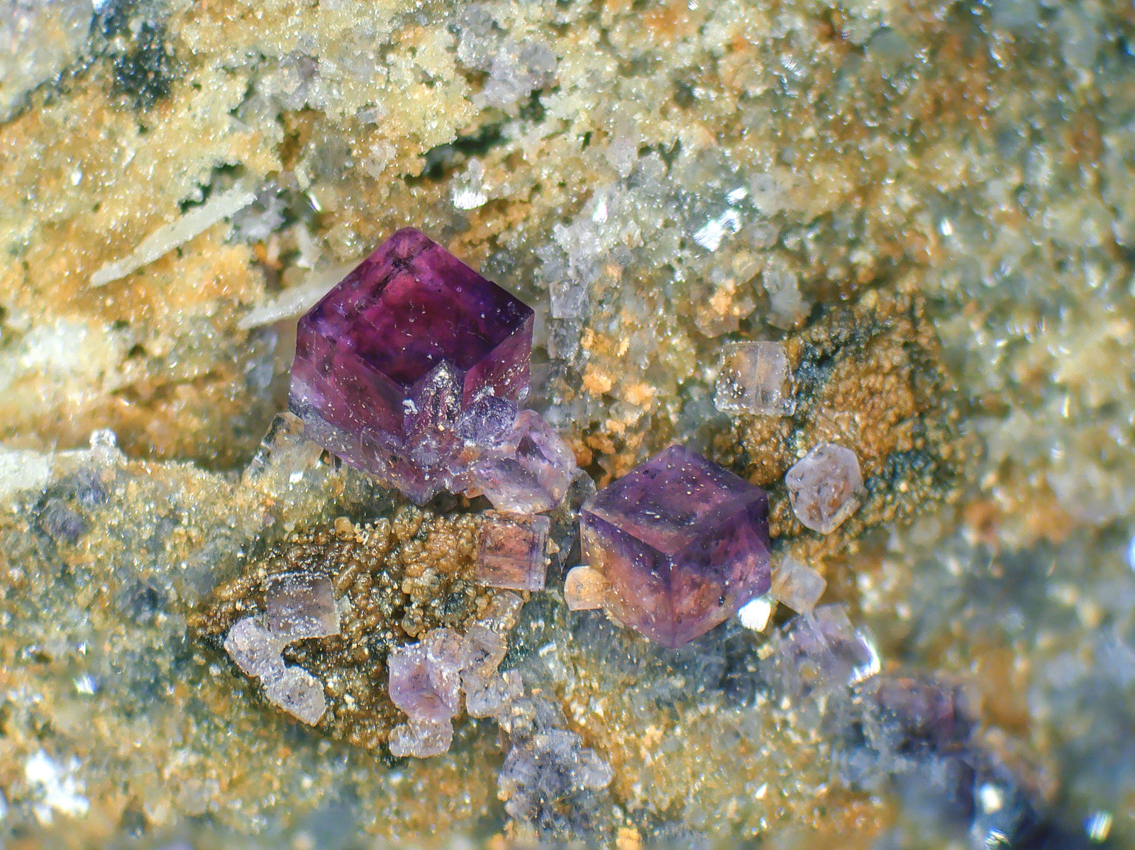 Fluorita, Barita, Cuarzo
Cristal mayor 1,5 mm.
(Autor: Antonio P. López)