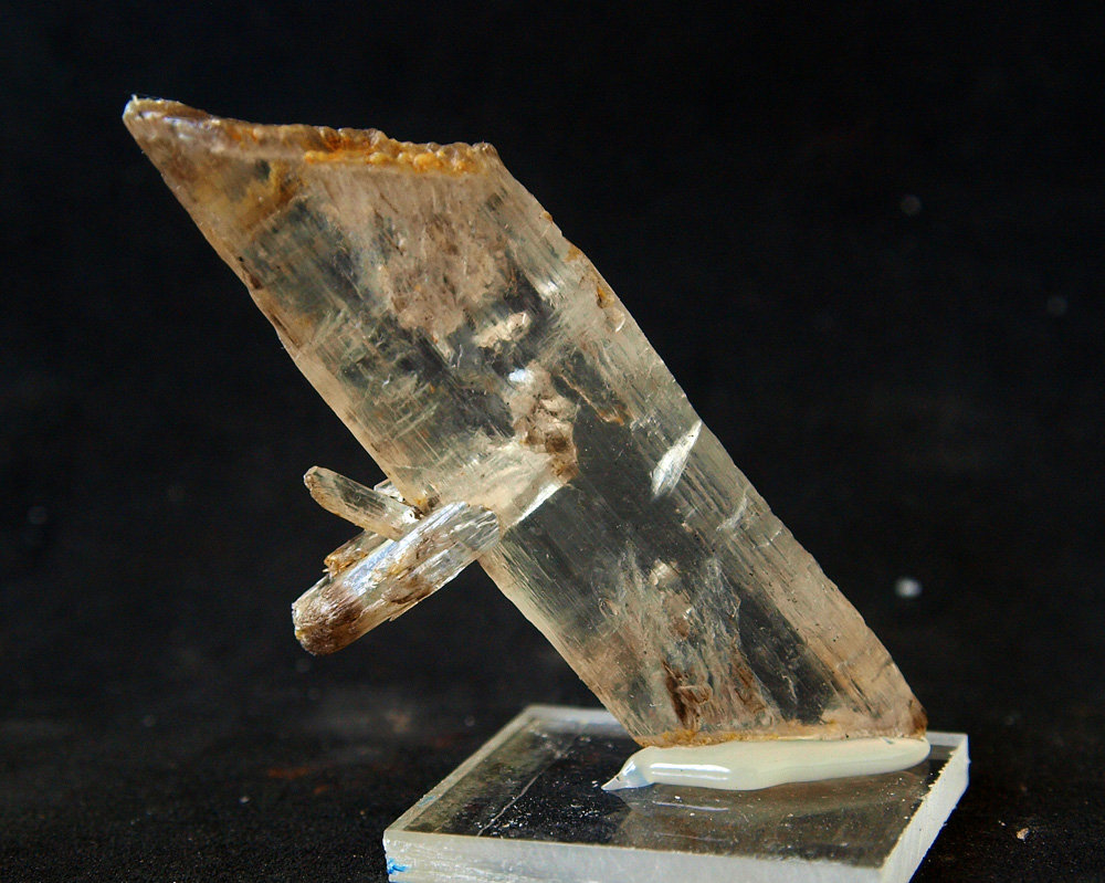 Yeso
7 x 3 cm
(Autor: Pedro Antonio)