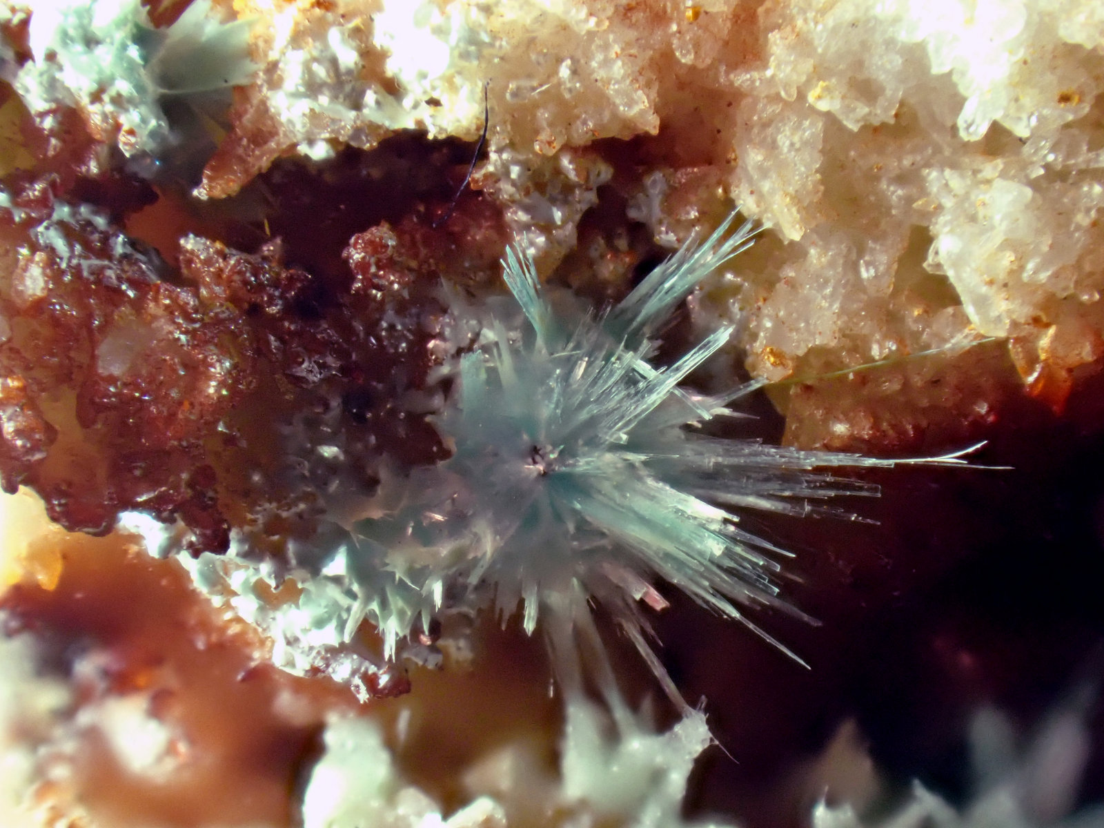 Aurichalcita (Auricalcita)
Medida: 3,5 x 3,5 x 3,2 cms
(Autor: Joan Martinez Bruguera)