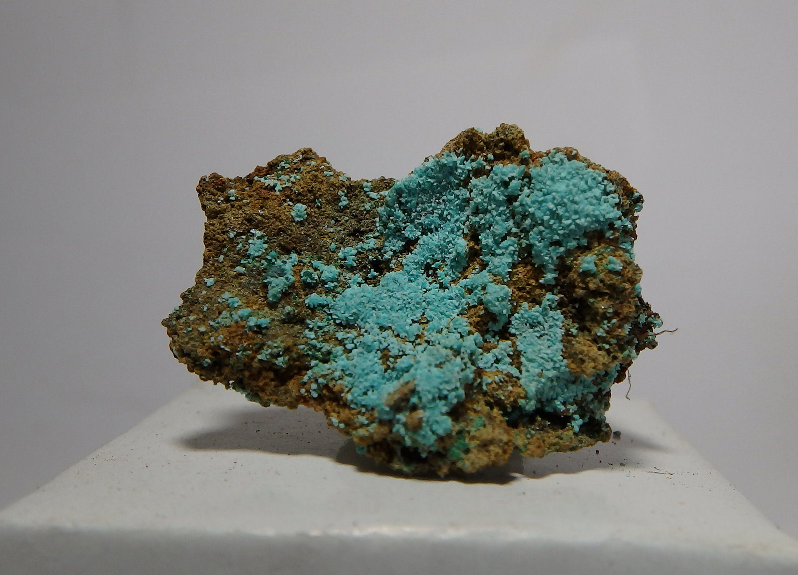 Auricalcita
3,1 x 2,3 x 1 cm
(Autor: heat00)