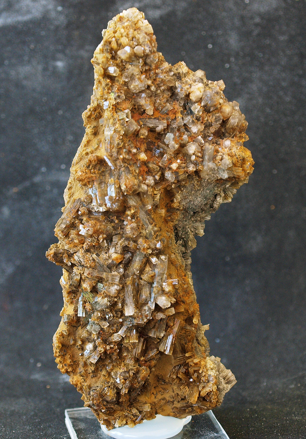 Aragonito
11 x 4.5 cm
(Autor: Pedro Antonio)