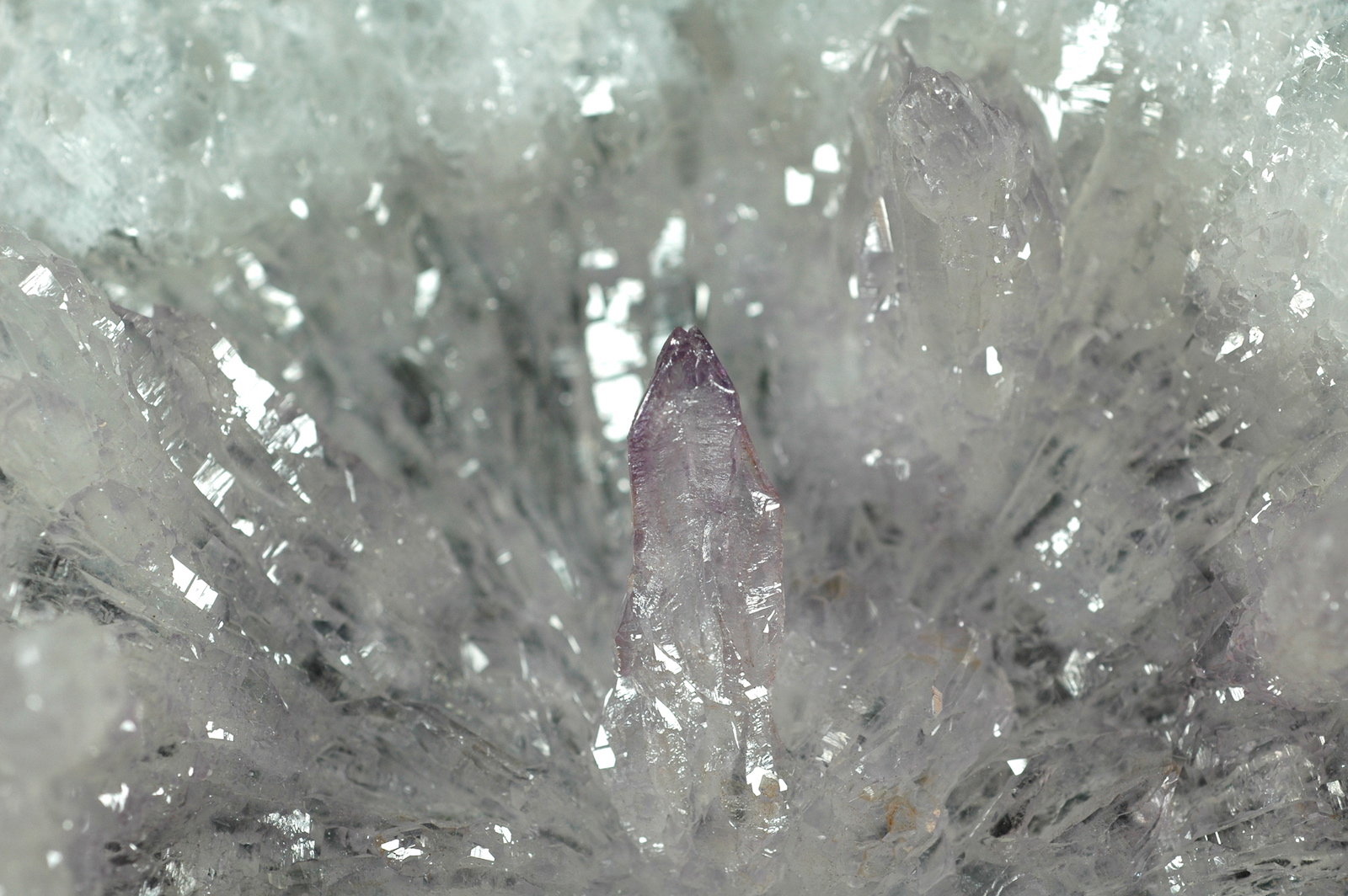 Cuarzo (variedad amatista)
12,1 x 11,2 cm.
(Autor: Xavier bordas)