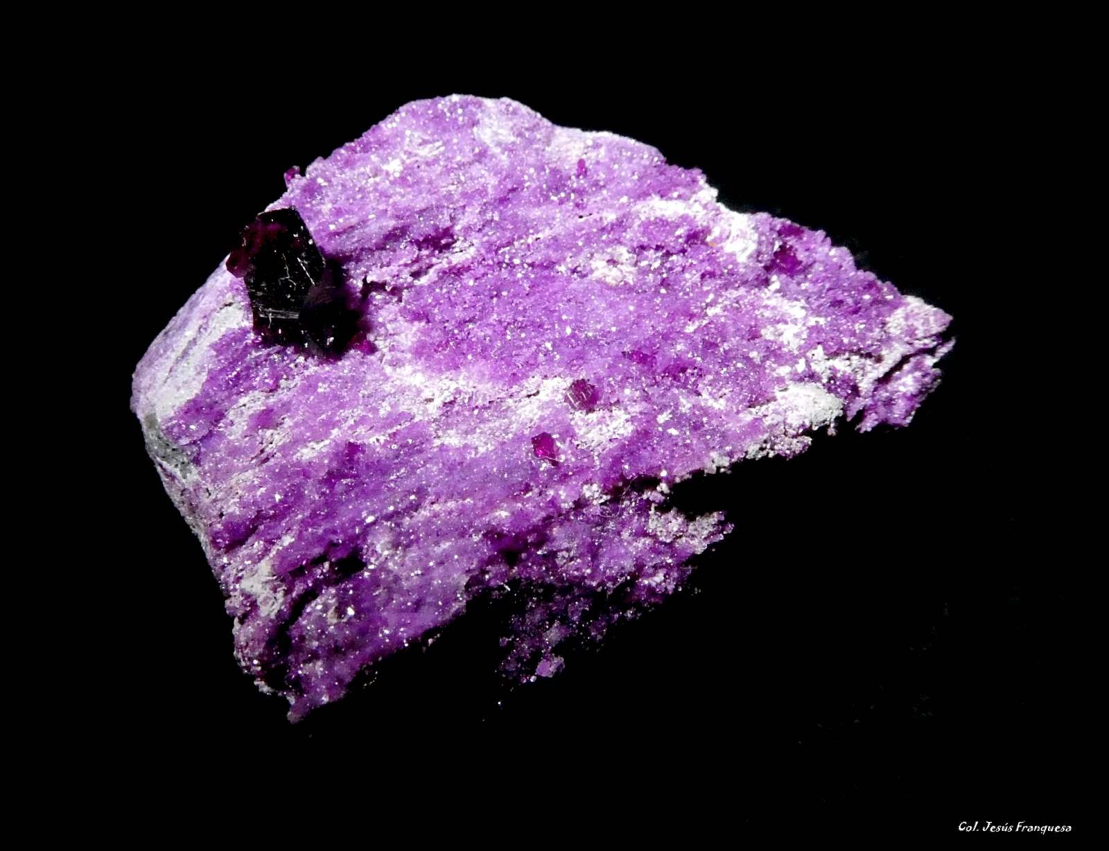 Clinocloro (variedad kämmererita)
55x45 mm.
(Autor: Jesus Franquesa Baucells)
