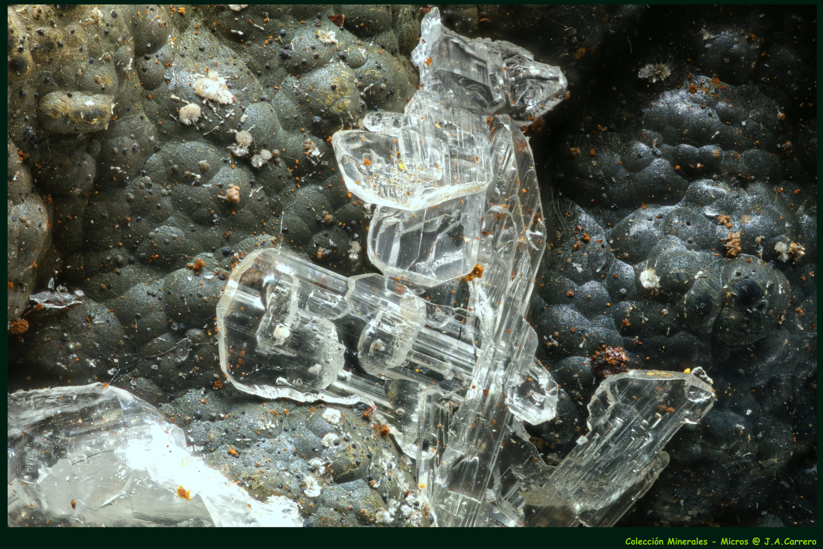 Hemimorfita
FoV: 1,5 x 0,9 mm
(Autor: Jose Angel Carrero)