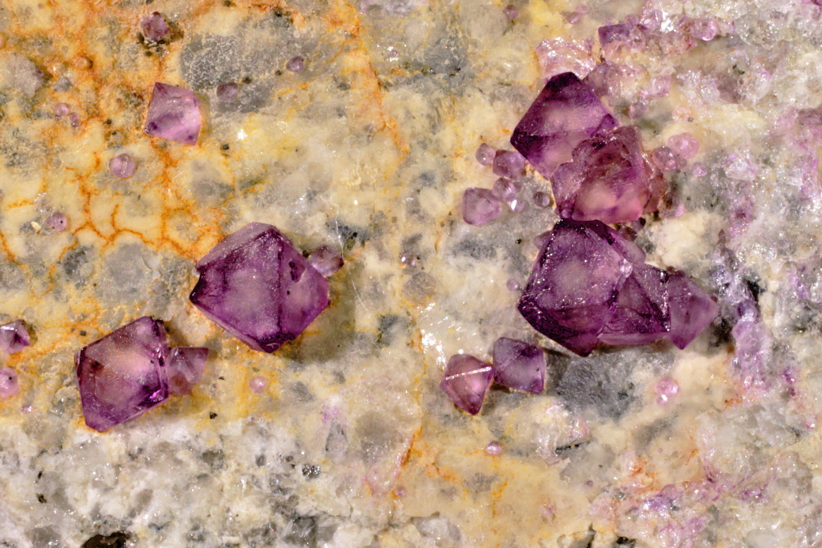 Fluorita
Cristal mayor 3 mm
(Autor: Jorgina-Agusti-Màrius)