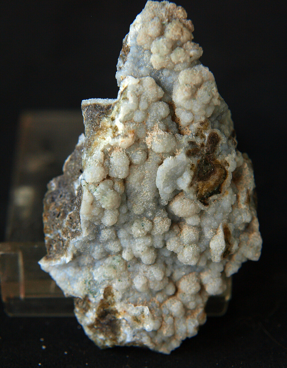 Clinoptilolita
6 x 3.5 cm
(Autor: Pedro Antonio)