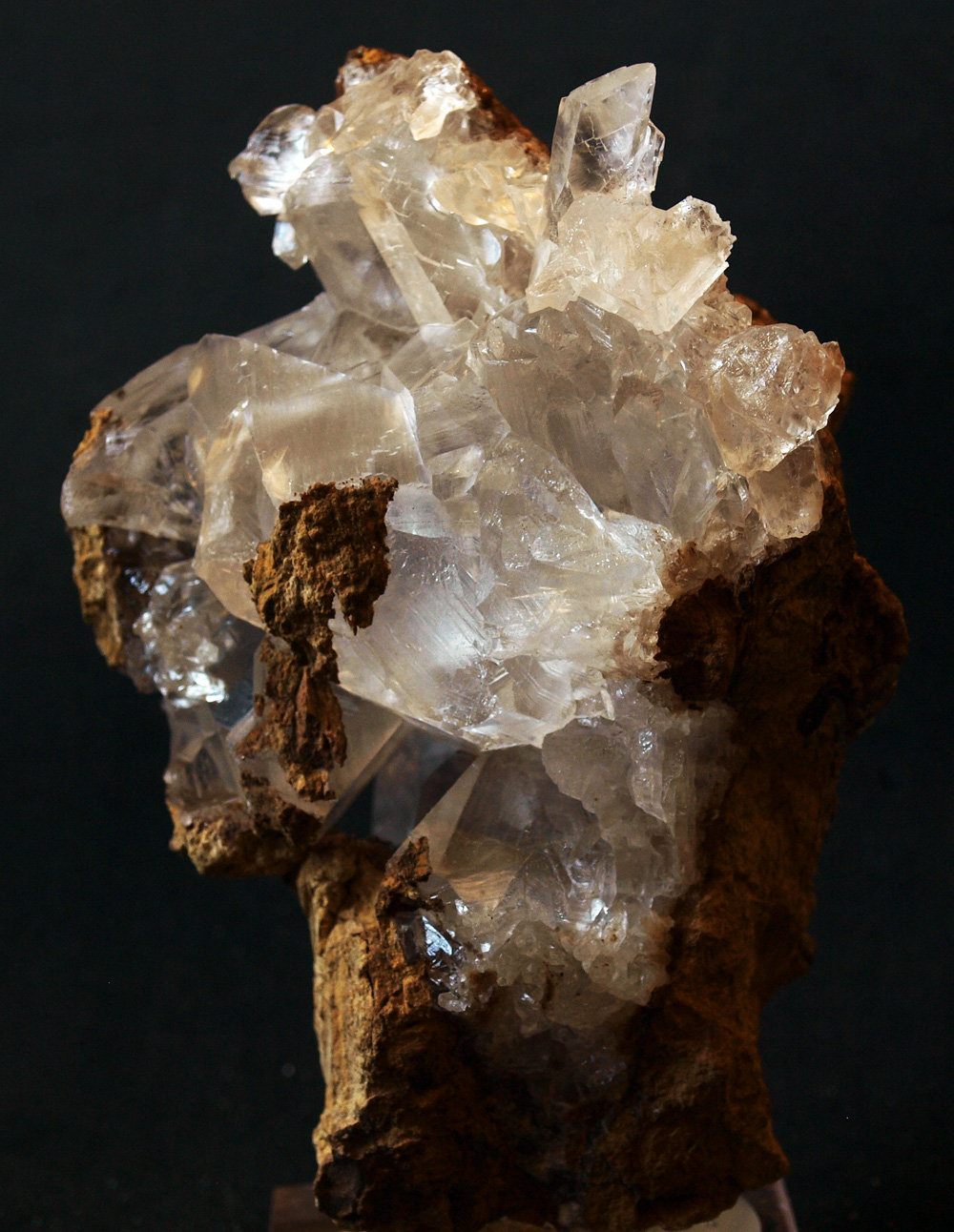 Yeso
10 x 7 cm
(Autor: Pedro Antonio)