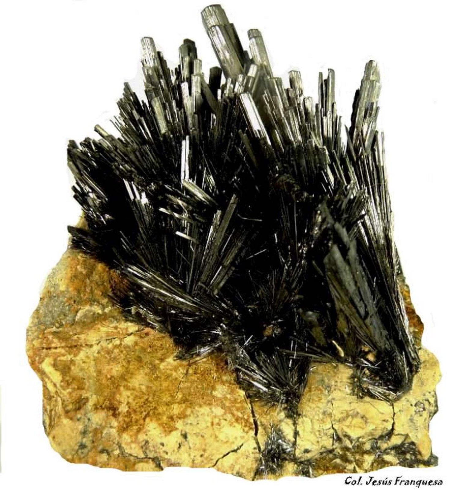 Stibnita (Estibina)
80x60 mm
(Autor: Jesus Franquesa Baucells)