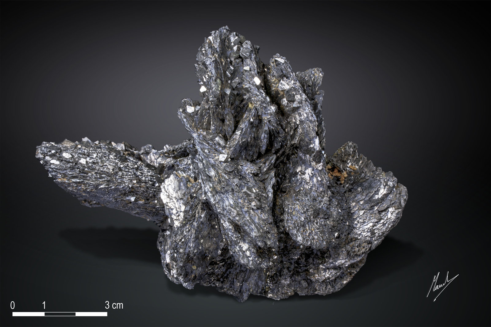 Löllingita y Arsenopirita
117 X 82 mm
(Autor: Manuel Mesa)