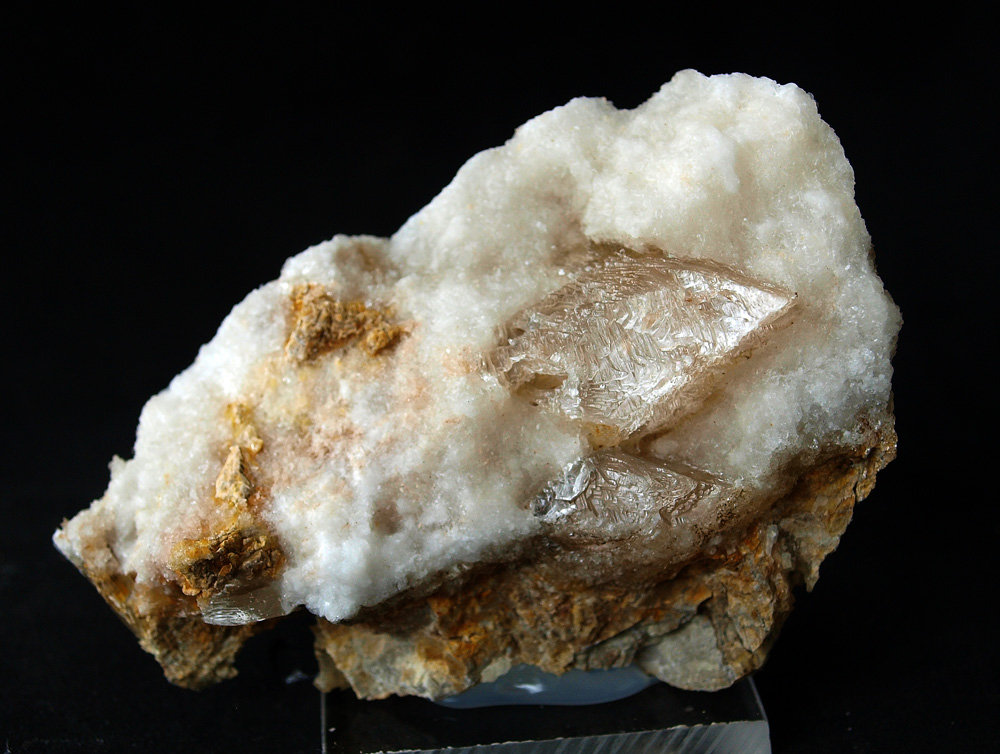 Yeso
9 x 6.5 cm
(Autor: Pedro Antonio)