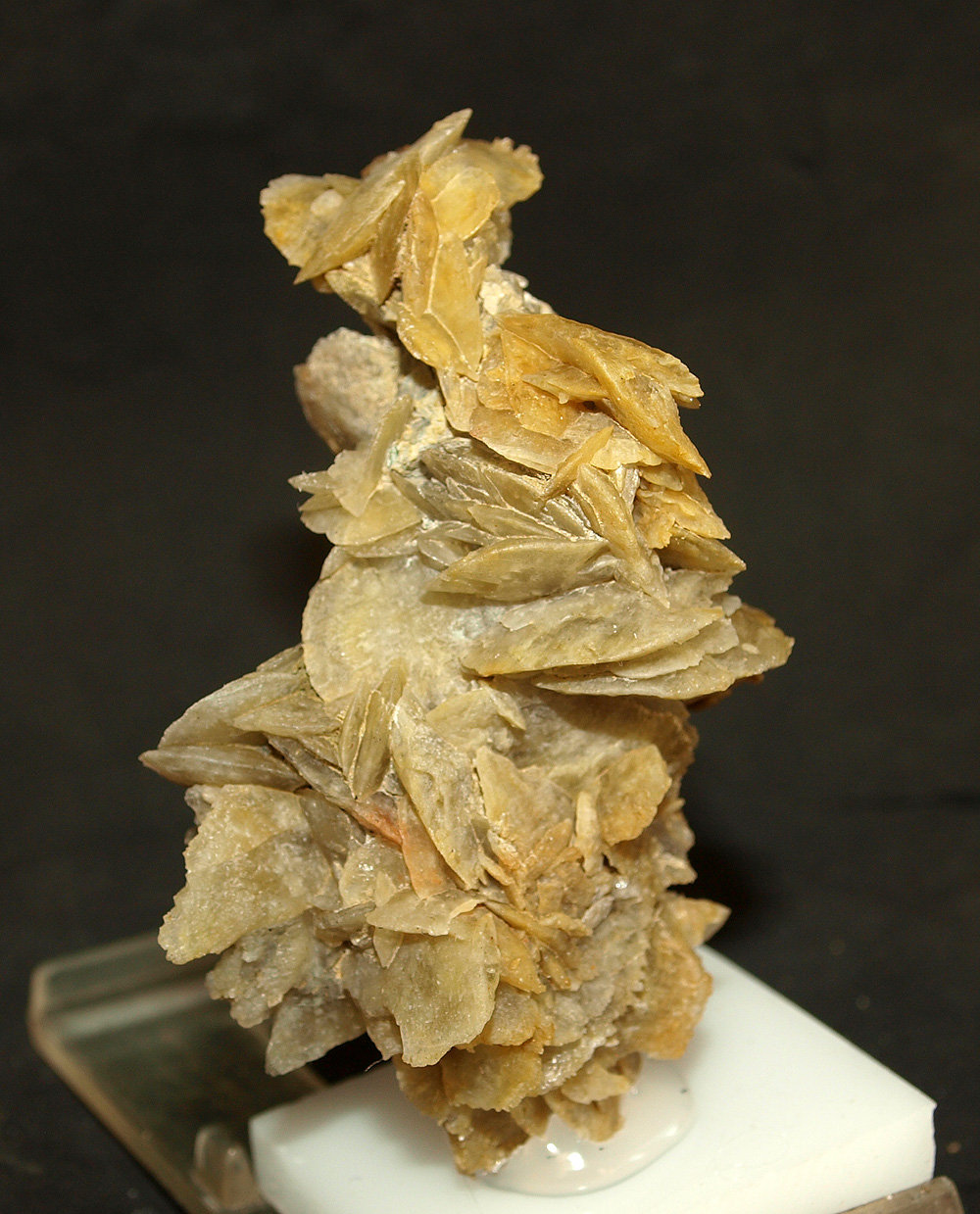 Yeso
6.5 x 4.5 cm
(Autor: Pedro Antonio)