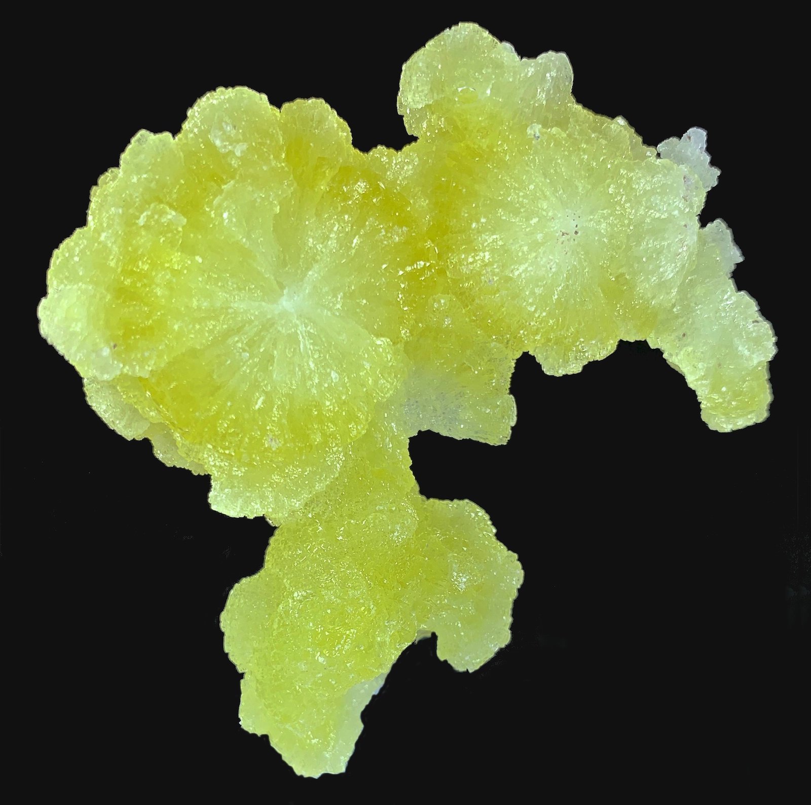 Brucita
7,2 x 7,1 cm.
(Autor: Xavier bordas)