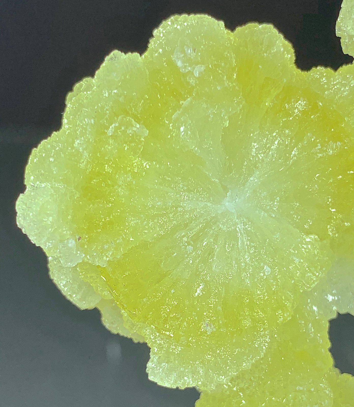 Brucita
7,2 x 7,1 cm.
(Autor: Xavier bordas)