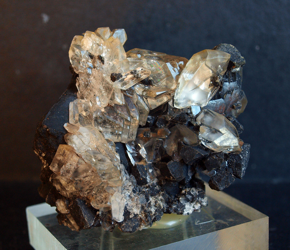 Yeso
6 x 5.5 cm
(Autor: Pedro Antonio)