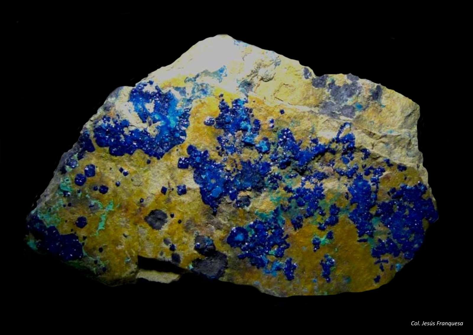 Cornetita.
50x40 mm.
(Autor: Jesus Franquesa Baucells)