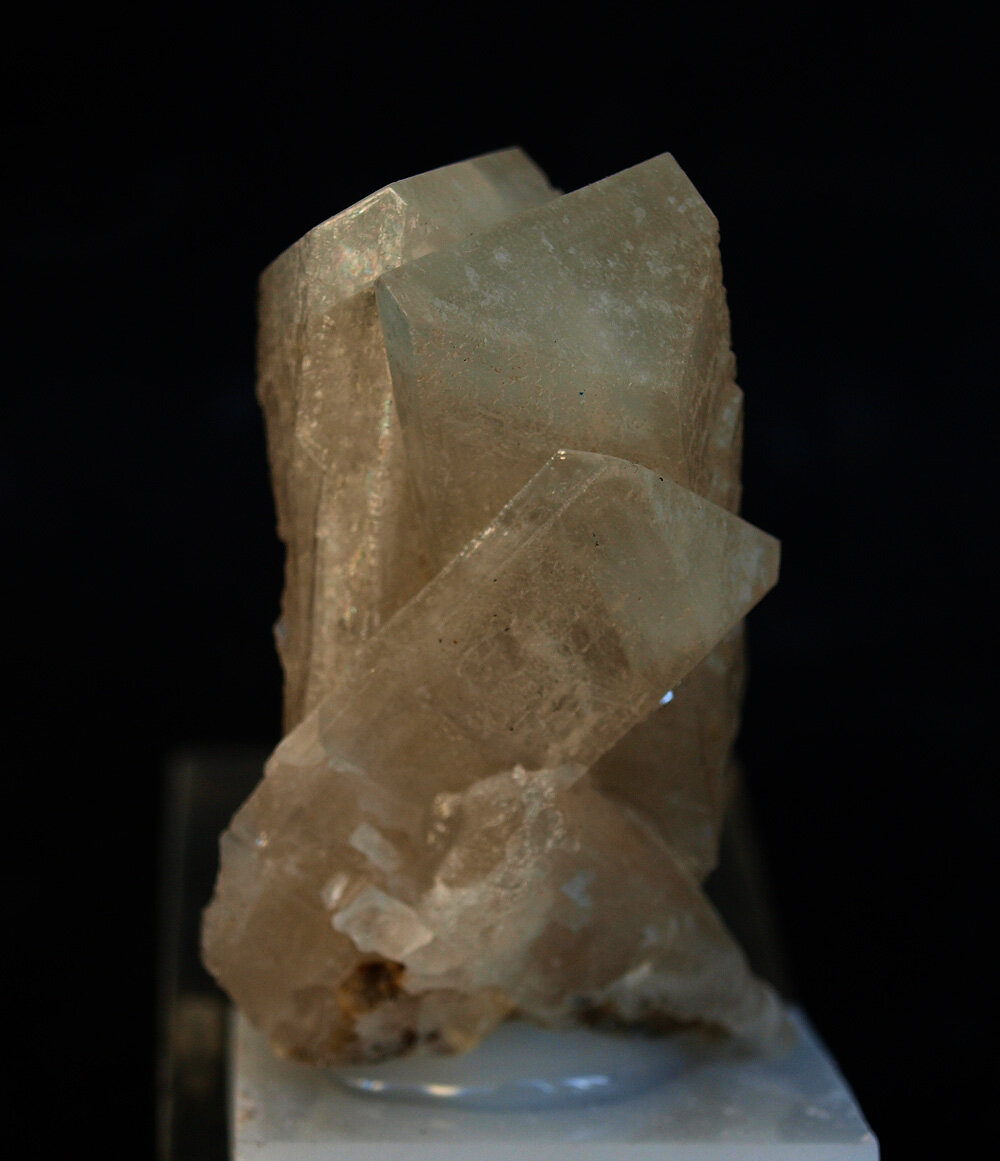 Celestina
Barranco del Mulo Deposit, Barranco del Mulo, Ulea, Comarca Valle de Ricote, Region of Murcia (Murcia), Spain
5.5 x 2.5 cm
(Autor: Pedro Antonio)