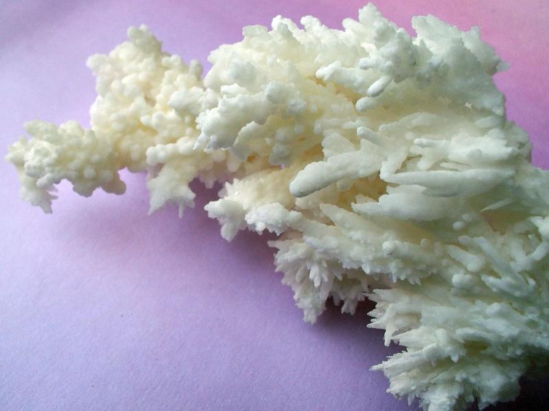 (Autor: Cristalino)