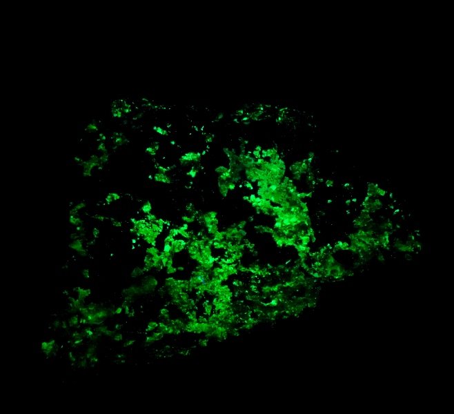 Sabugalita
80x50 mm.
(Autor: Jesus Franquesa Baucells)