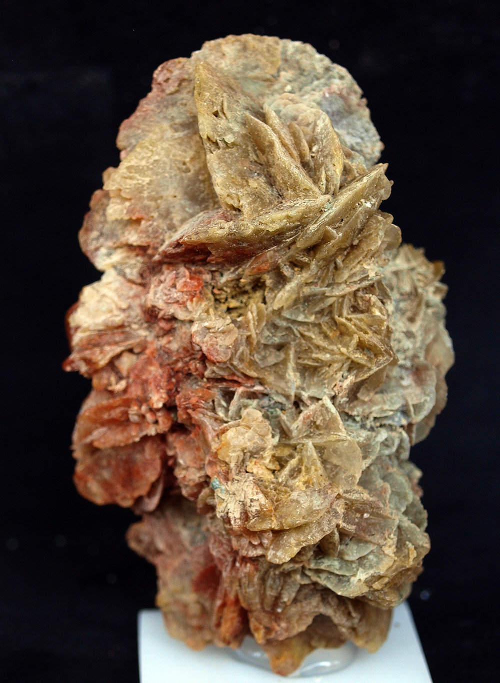 Yeso
9 x 5 cm
(Autor: Pedro Antonio)