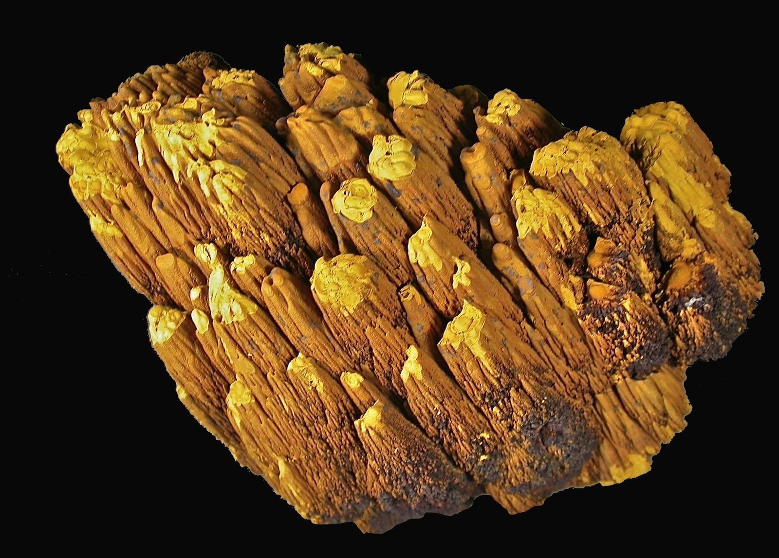 limonita
9,8 x 8,8 cm.
(Autor: Xavier bordas)