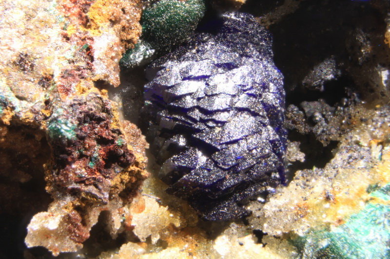 Azurita
5 x 4 mm
(Autor: Jorgina-Agusti-Màrius)