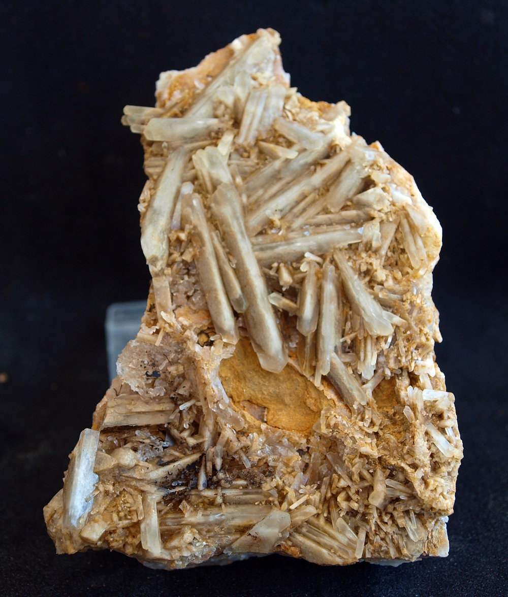 Celestina
9 x 6 cm
(Autor: Pedro Antonio)
