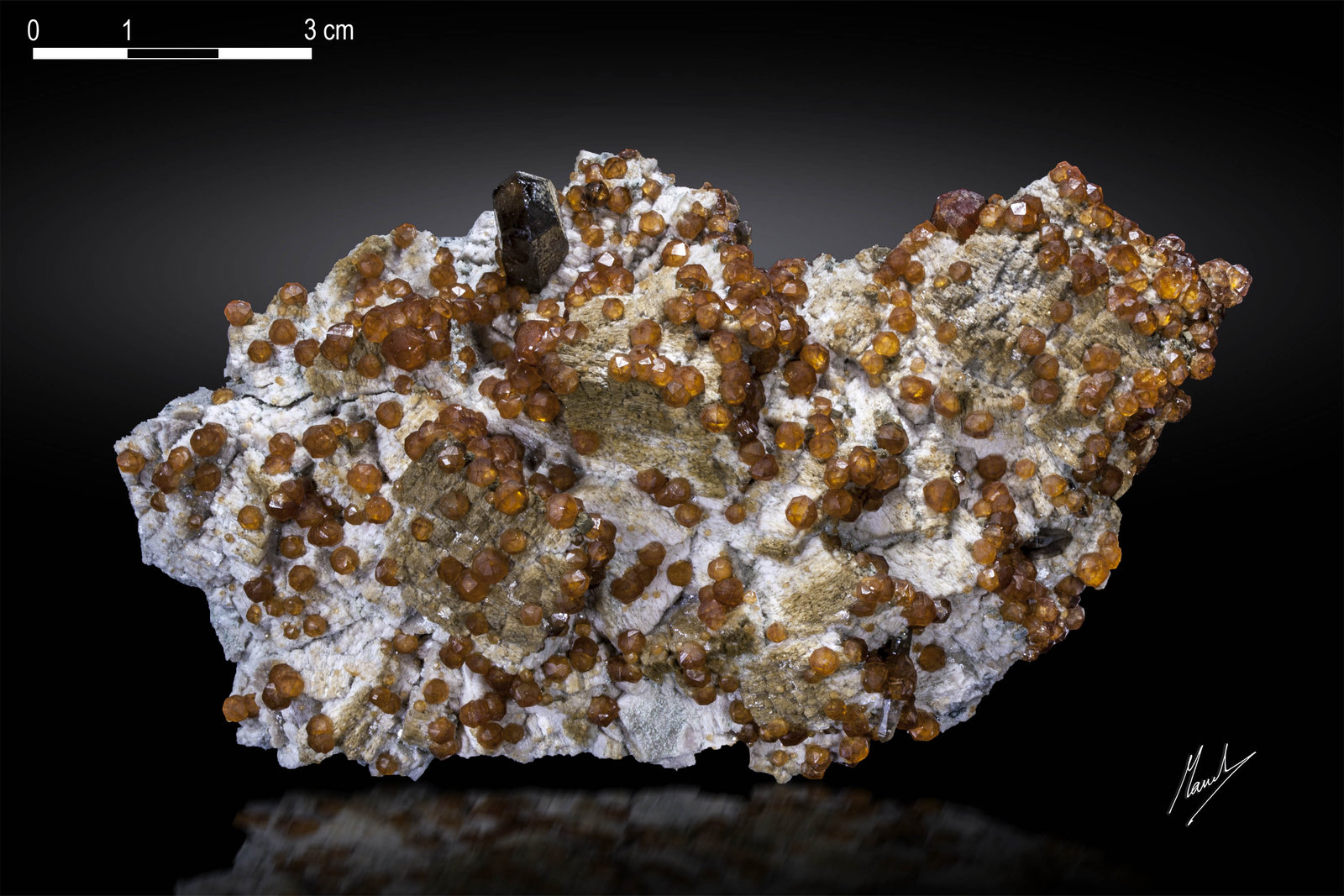 Spessartina (Espesartina) y Cuarzo
126 X 67 mm
(Autor: Manuel Mesa)