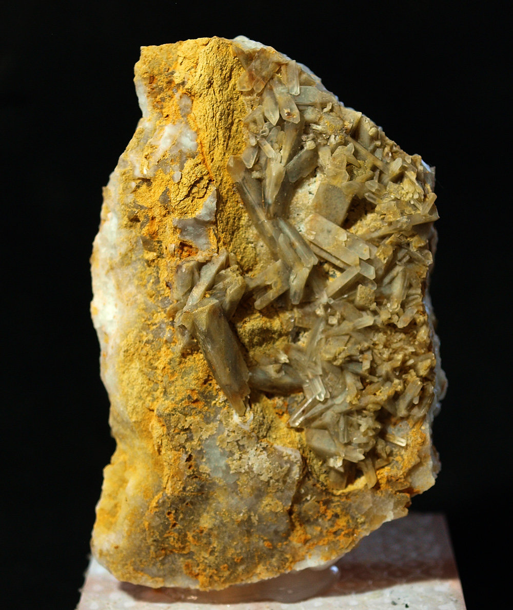 Celestina
7 x 4.5 cm
(Autor: Pedro Antonio)