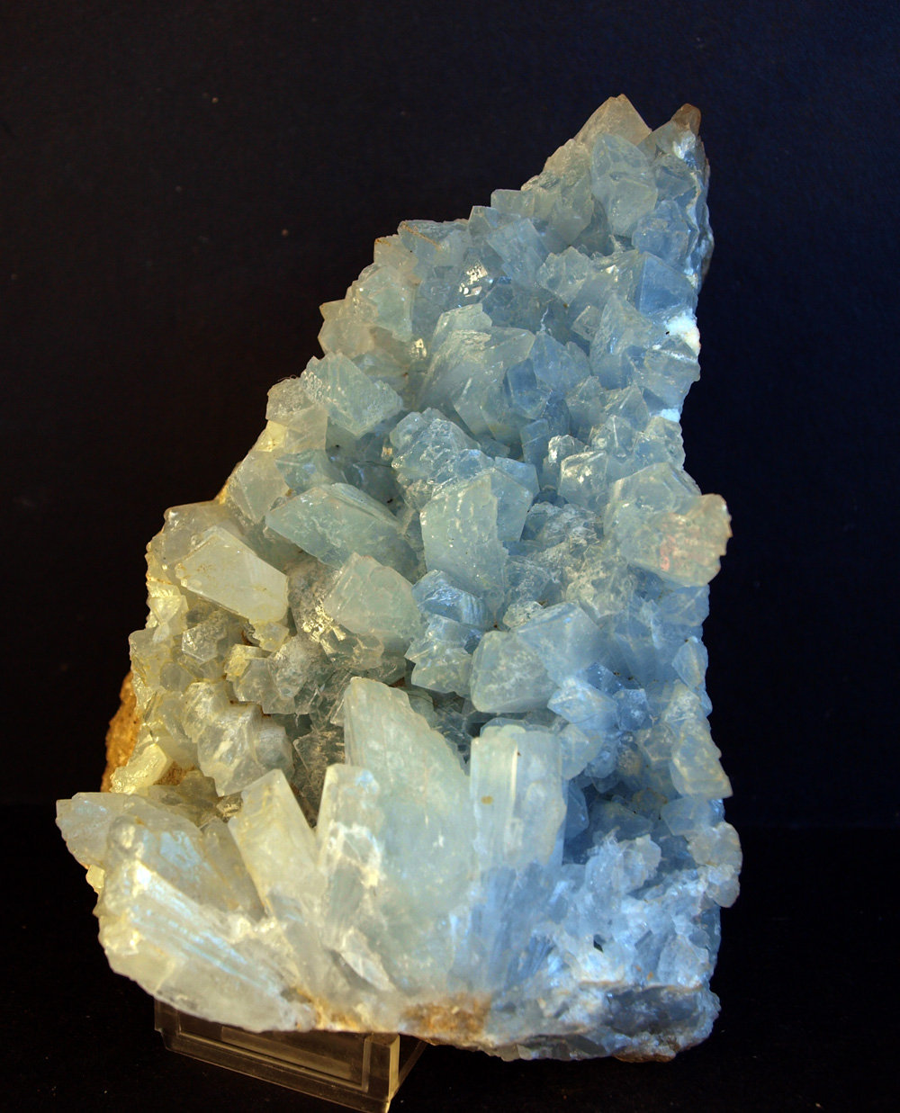 Celestina
14 x 9 cm
(Autor: Pedro Antonio)
