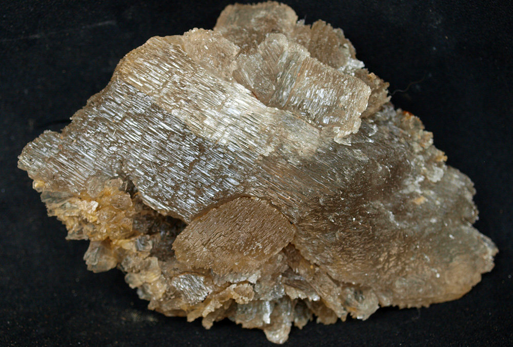 Yeso
12 x 7.5 cm
(Autor: Pedro Antonio)
