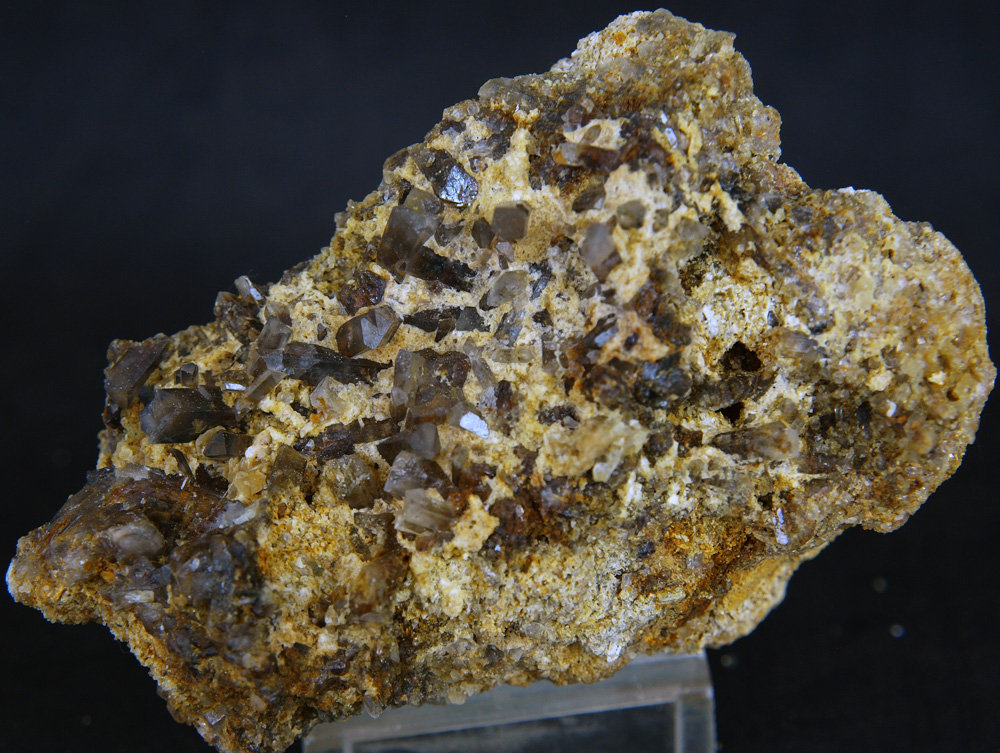 Celestina
8 x 5.5 cm
(Autor: Pedro Antonio)