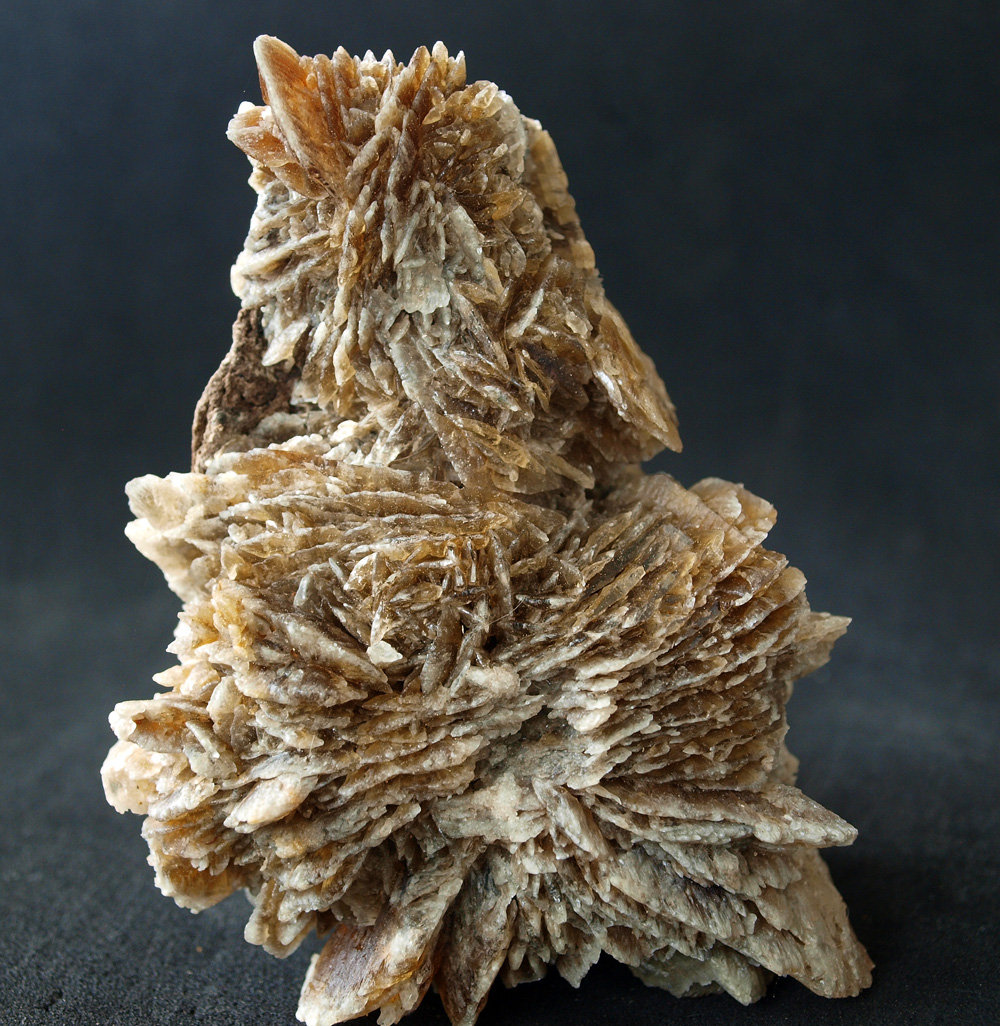 Yeso
9.5 x 6.5 cm
(Autor: Pedro Antonio)