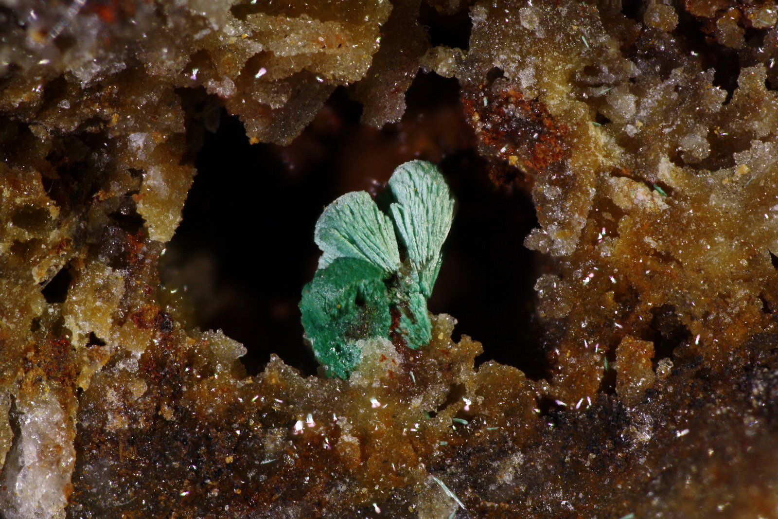 Malaquita
2,5 x 3 mm
(Autor: Jorgina-Agusti-Màrius)