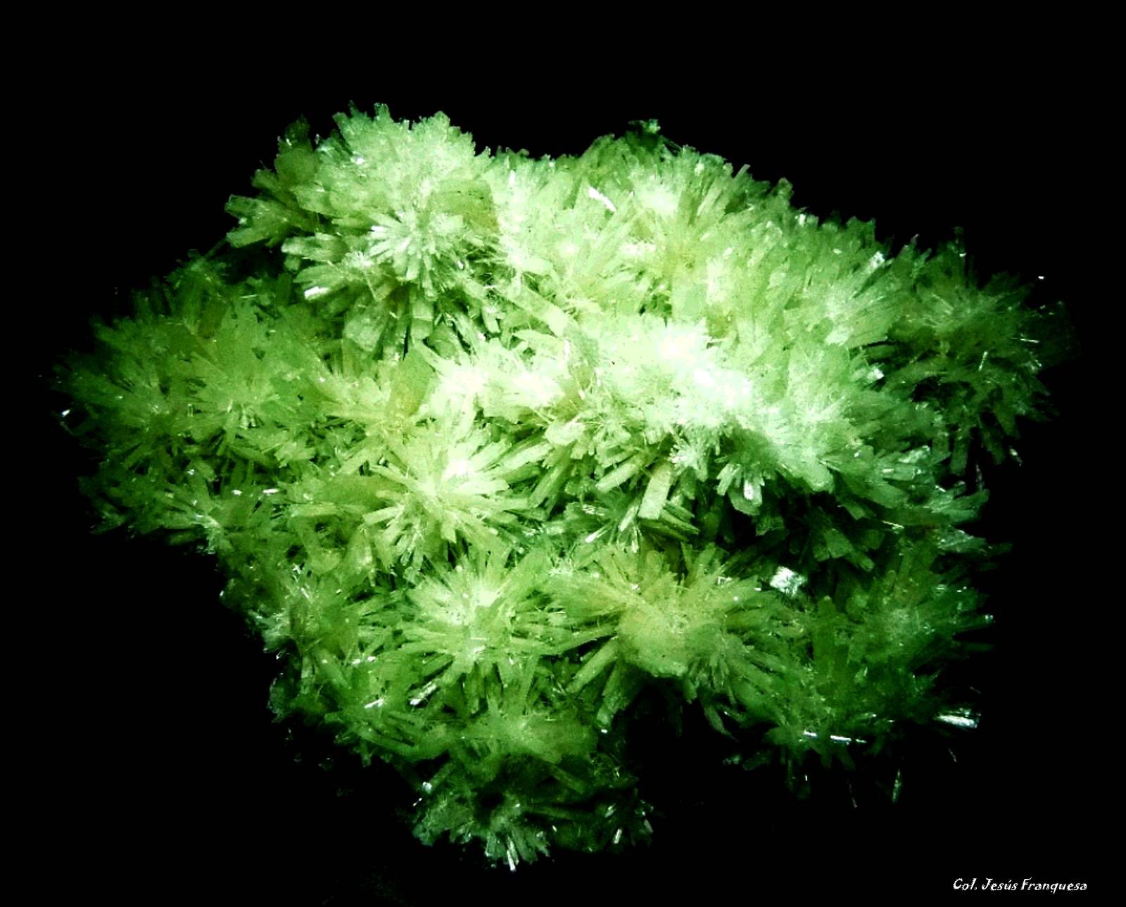 Yeso (variedad selenita)
120x90 mm.
(Autor: Jesus Franquesa Baucells)