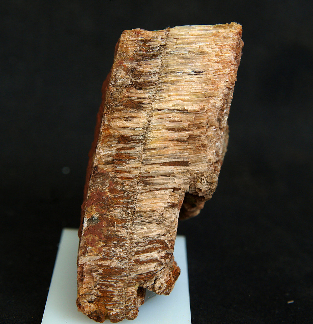 Celestina
6.5 x 3 cm
(Autor: Pedro Antonio)