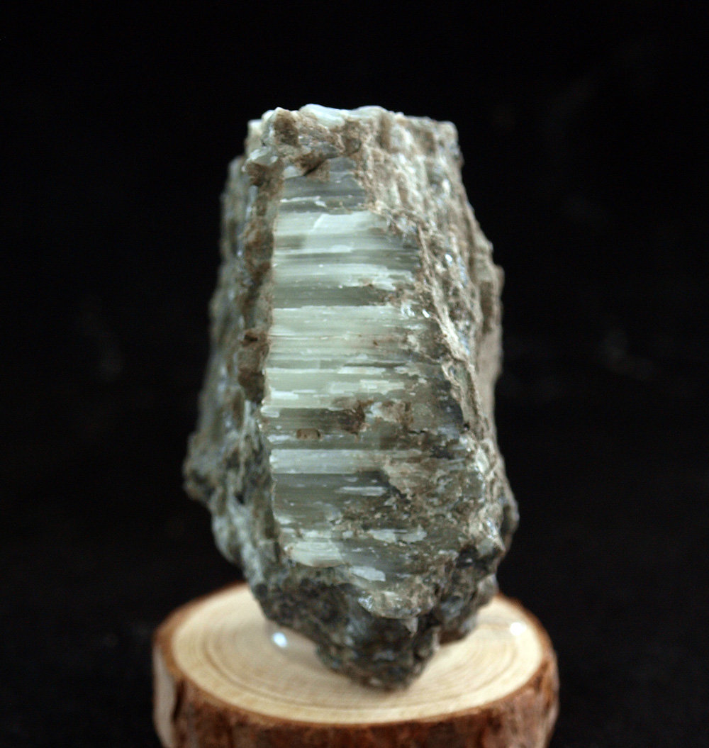 Celestina
5.5 x 2.5 cm
(Autor: Pedro Antonio)