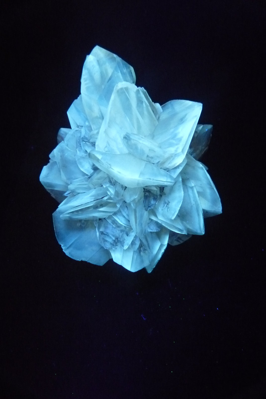Yeso
80x70 mm.
(Autor: Jesus Franquesa Baucells)