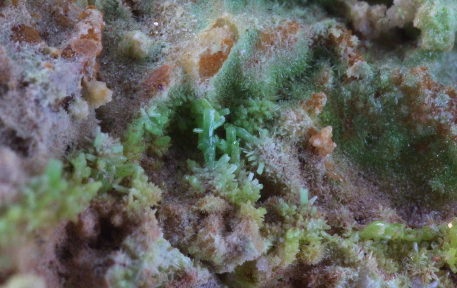 Piromorfita
Cristal mayor 0,5 mm
(Autor: Jorgina-Agusti-Màrius)
