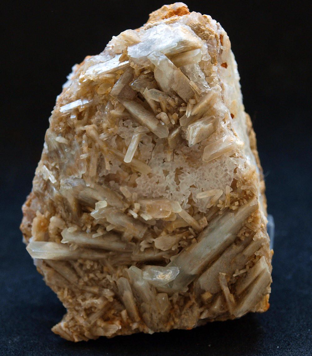 Celestina
6 x 4.5 cm
(Autor: Pedro Antonio)