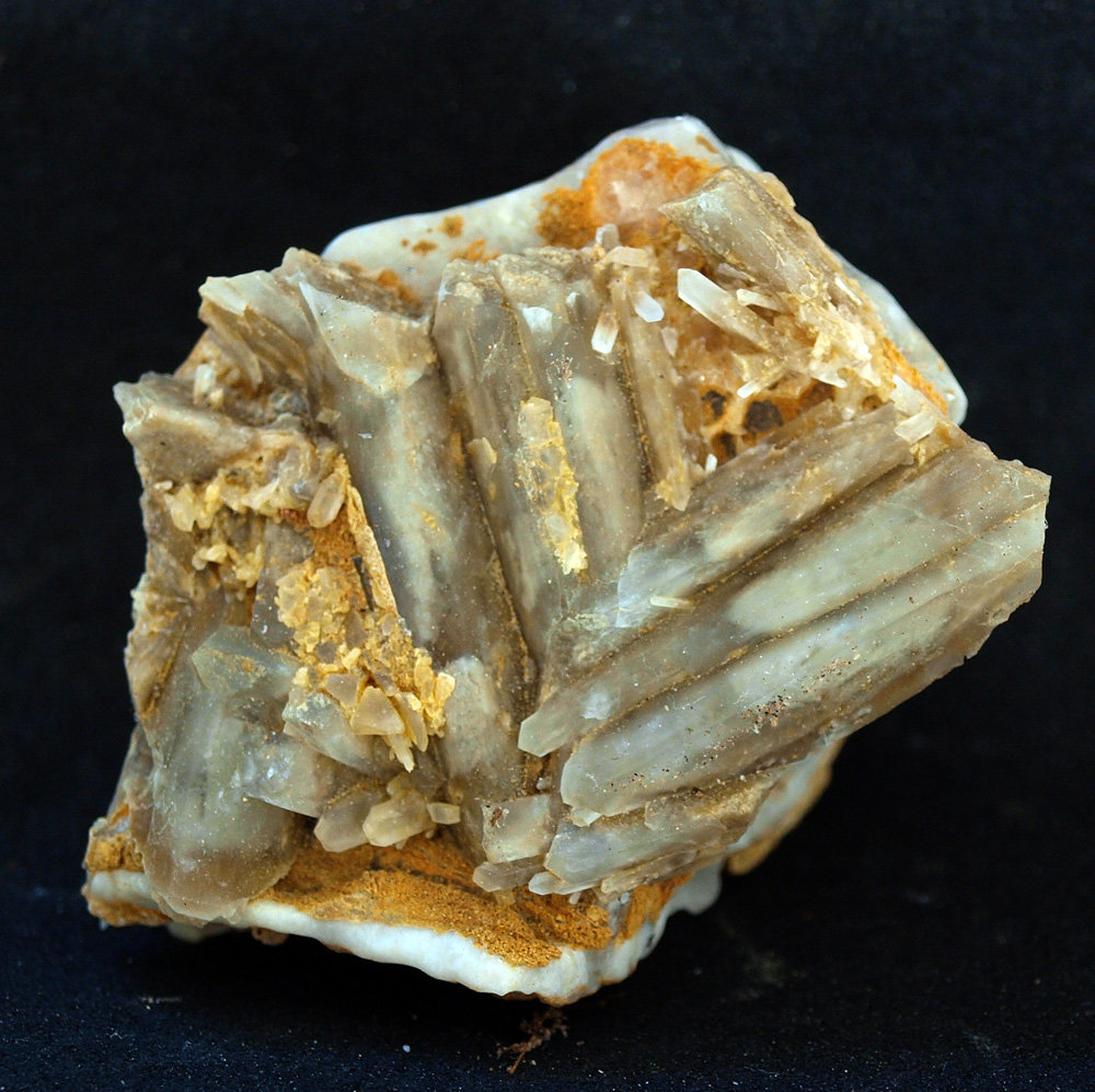 Celestina
4.5 x 3.54 cm
(Autor: Pedro Antonio)